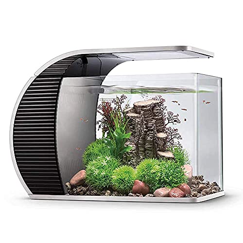 hygger Acquario 19 Litri, Acquario per Pesci con 3.2W Luce Led, 5W Pompa Acqua, Scatola Filtraggio Nascosta