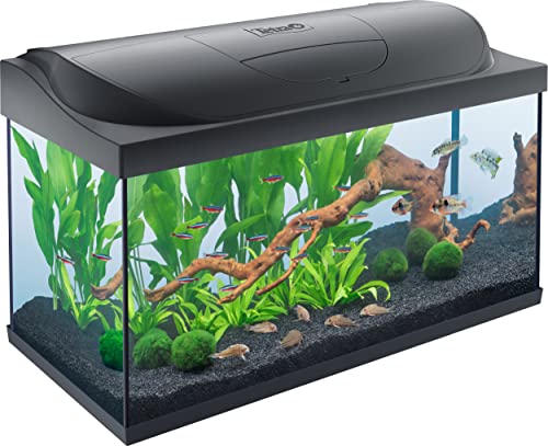 Tetra Starter Line LED 105 l Acquario per principianti