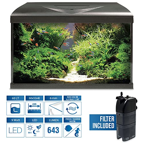 Amtra Acquario System Tank V2 – Acquario completo in vetro 60 Litri, Luce Led 9 Watt e Pompa Filtro inclusi, acqua dolce o salata, Nero, 60x32x42 CM