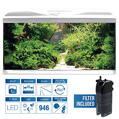 Amtra Acquario System Tank V2 – Acquario completo in vetro 85 Litri, Luce Led 11 Watt e Pompa Filtro inclusi, acqua dolce o salata, Bianco, 80x32x48 CM