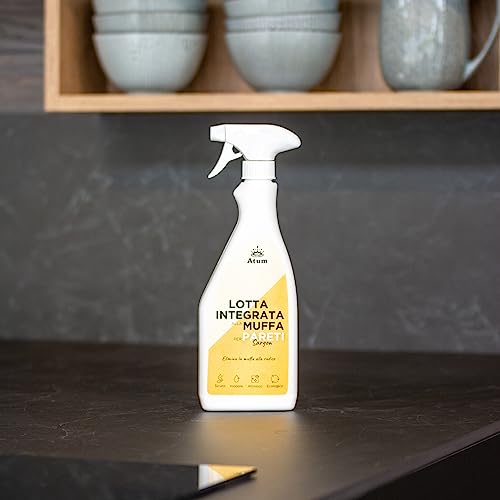 Sargon Rimuove la Muffa, 100% Inodore – Igienizza Muri e Pareti di Casa – Sicuro e Atossico – 500ml