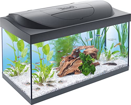 Tetra Starter Line LED 54 l